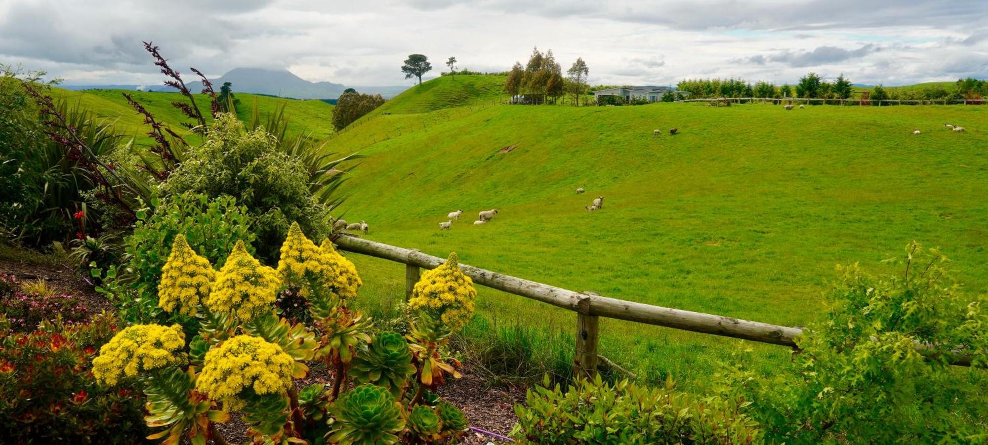 Hilltop Whakaipo Estate Lago Lago Taupo Exterior foto