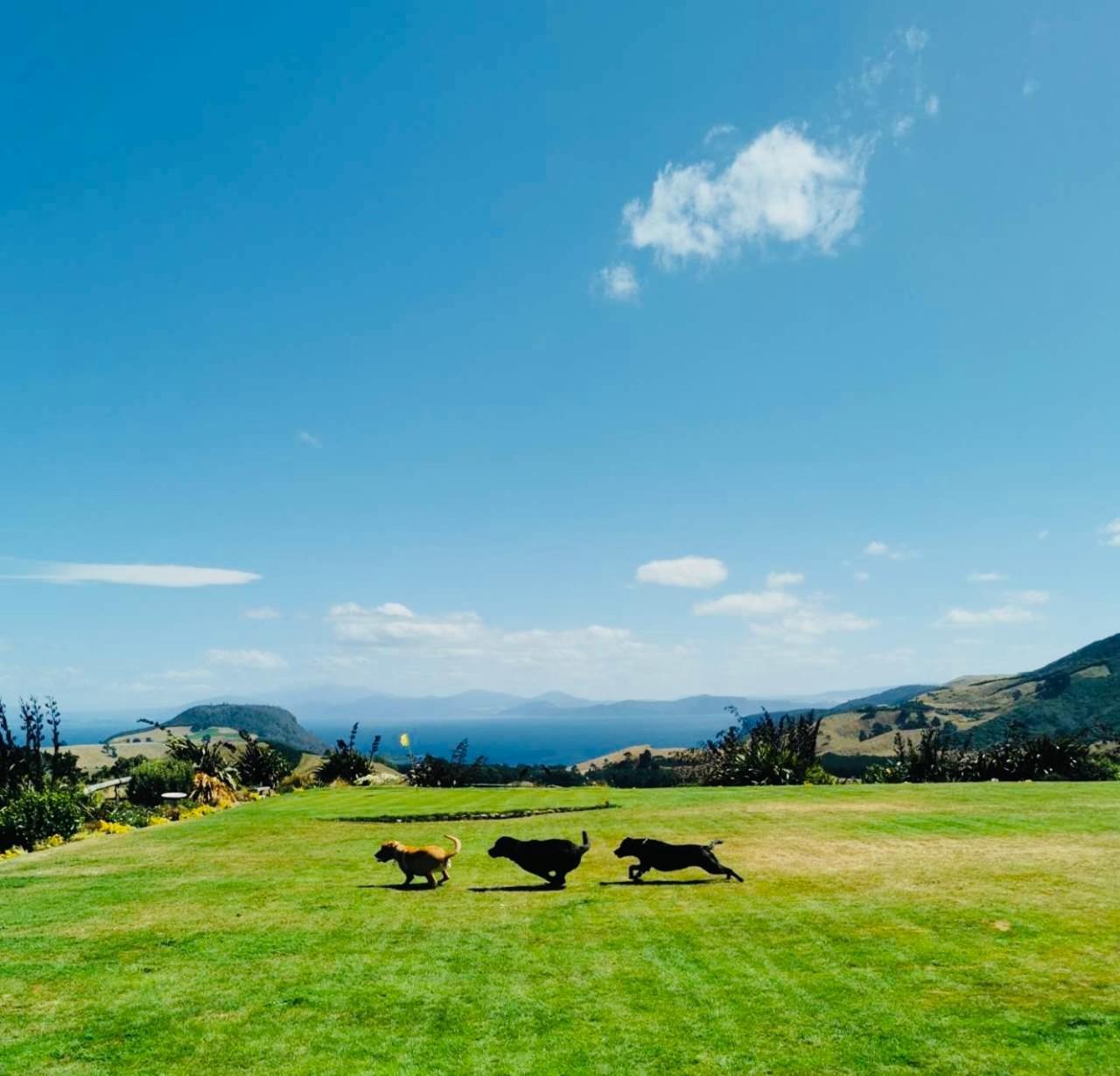 Hilltop Whakaipo Estate Lago Lago Taupo Exterior foto