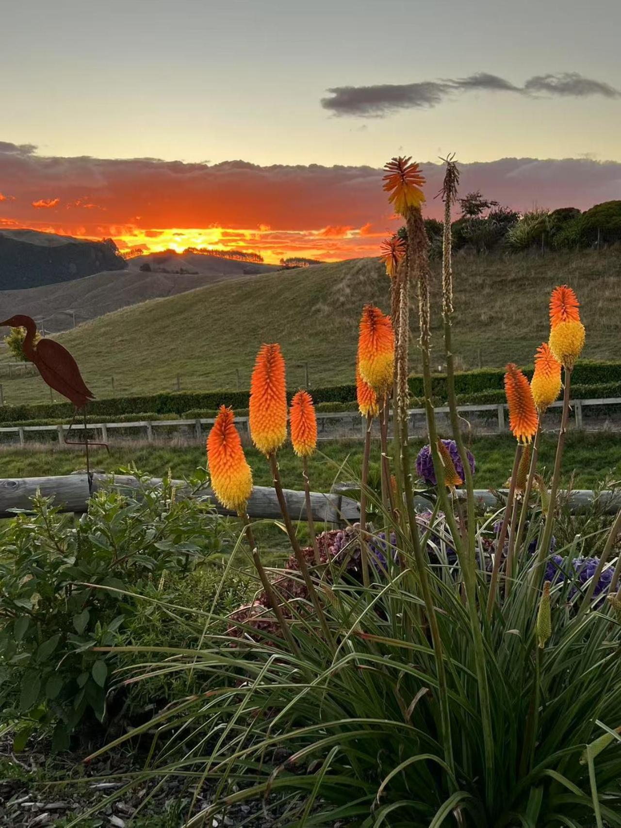Hilltop Whakaipo Estate Lago Lago Taupo Exterior foto